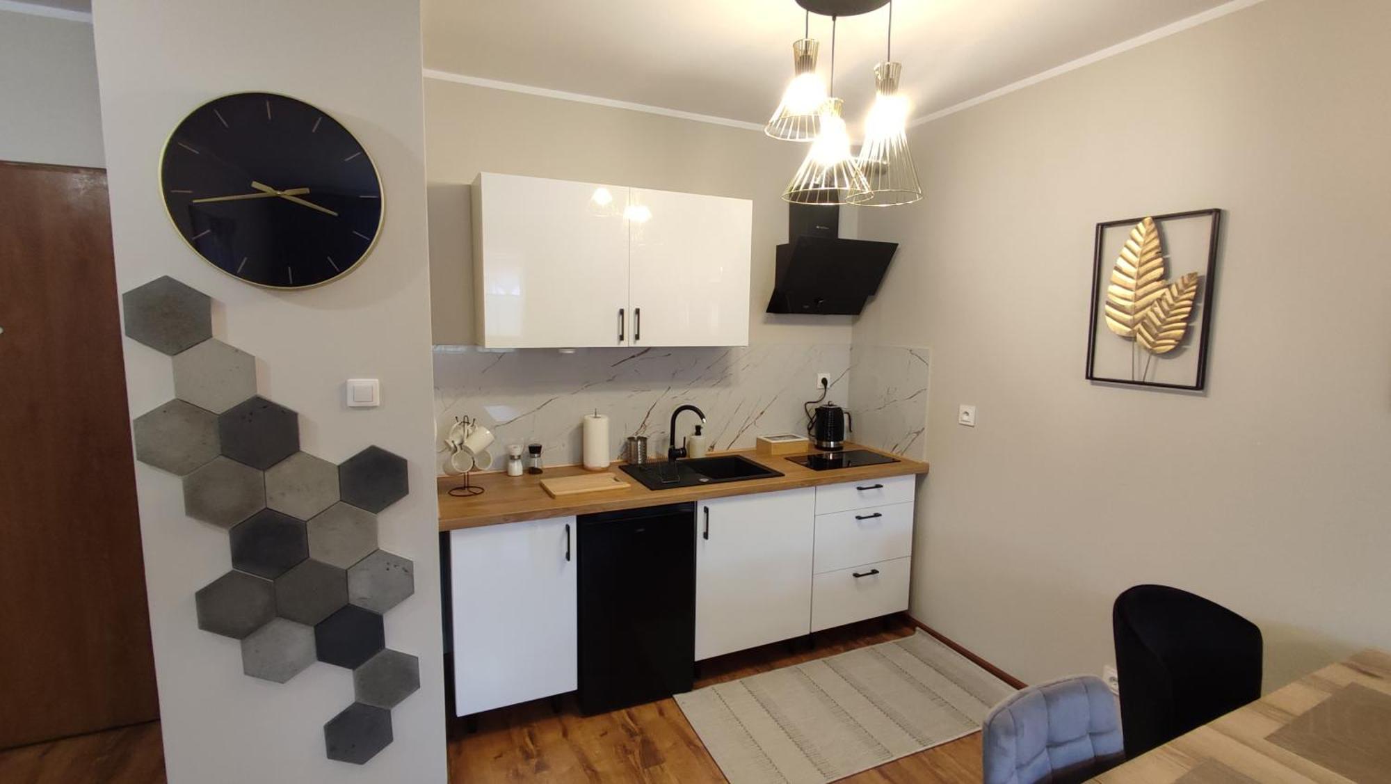 Apartament Reja Włocławek エクステリア 写真